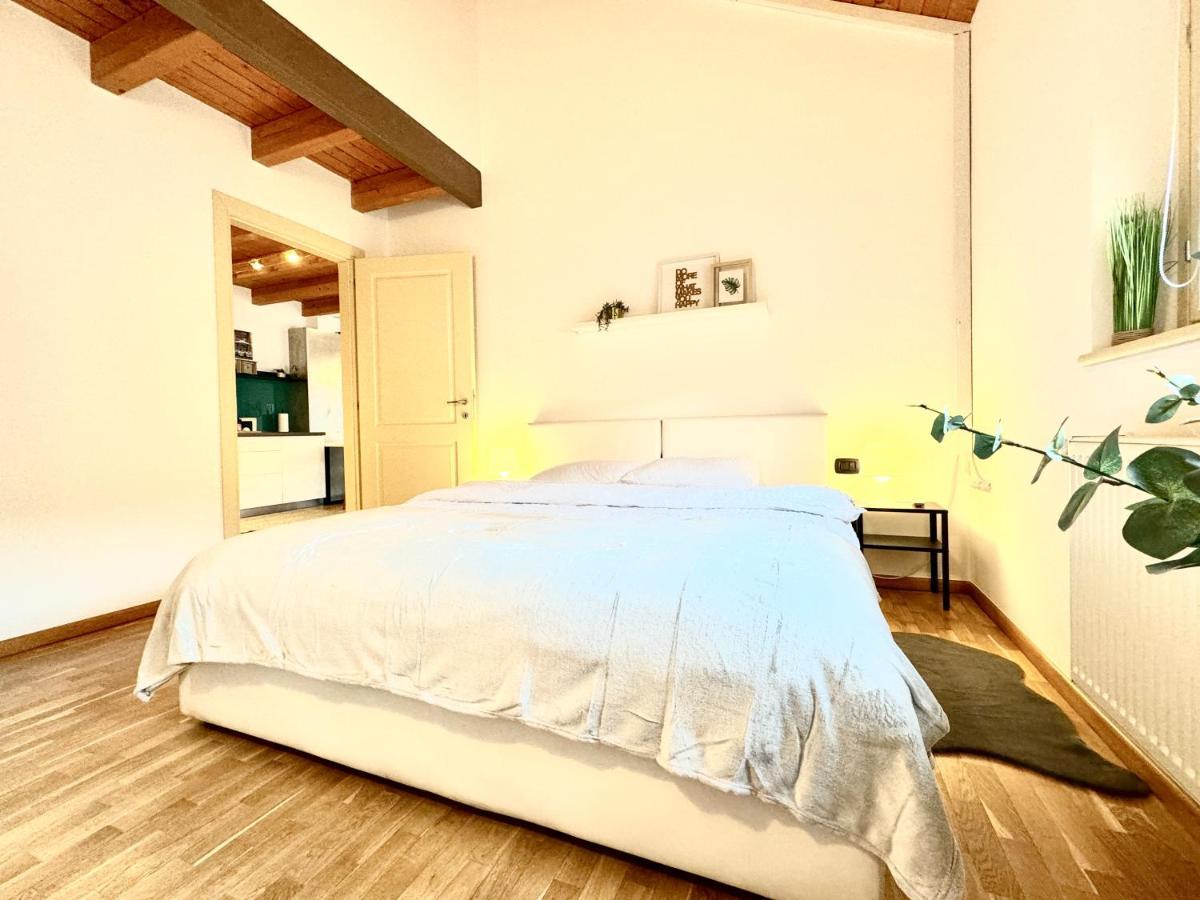 شقة The Loft تيميشورا المظهر الخارجي الصورة