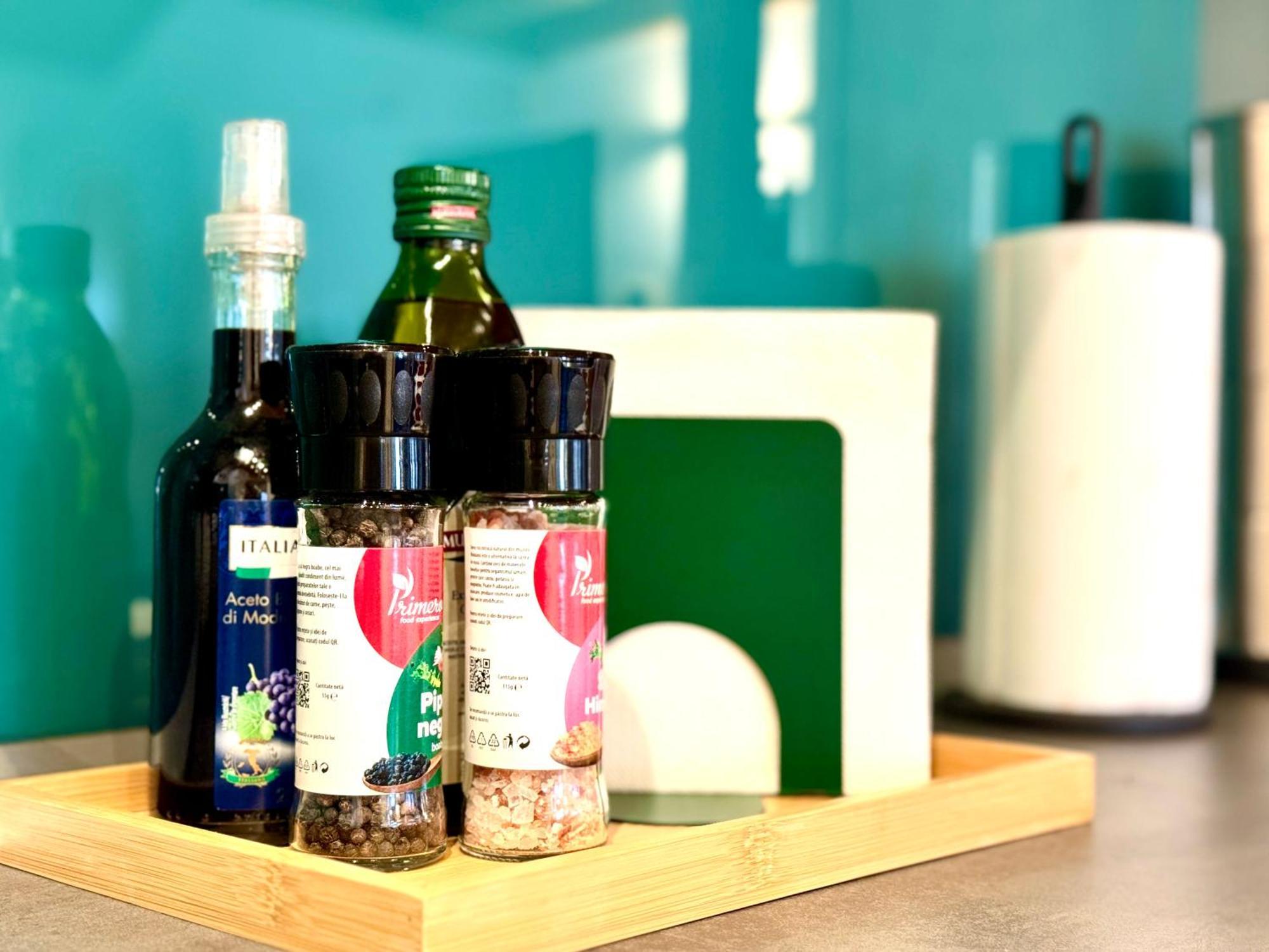 شقة The Loft تيميشورا المظهر الخارجي الصورة